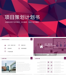 简约时尚商业项目策划书PPT模板