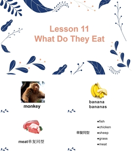 小学英语冀教版三年下册《lesson 11 what do they eat》PPT课件