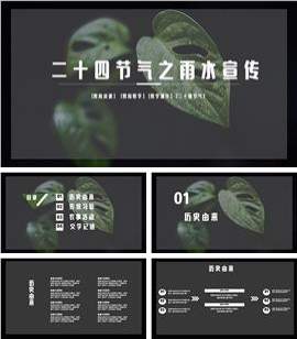 绿色教学雨水节气宣传ppt模板
