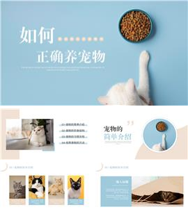 如何正确饲养宠物科普教学介绍PPT模板