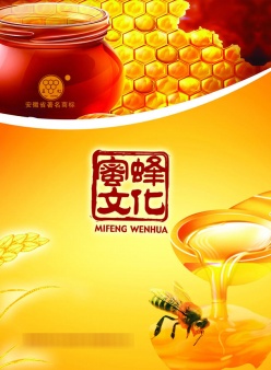 蜜蜂文化封面PSD素材