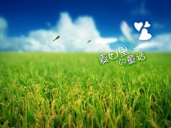 麦田里童话PSD素材