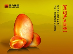 集团产业战略psd文化宣传