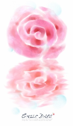 梦幻玫瑰花背景源文件图