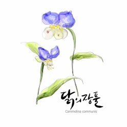水彩花卉插画源文件