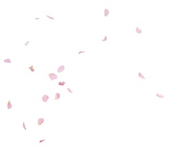 玫瑰花瓣设计源文件