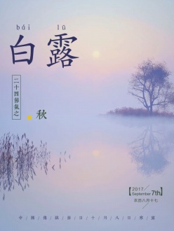 二十四节气白露海报设计