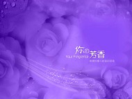 2008婚纱模板下载PSD