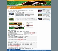 欧美棒球网站模板
