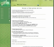 ThemeGallery 公司模板