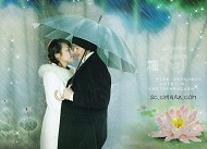 经典婚纱照PSD模板