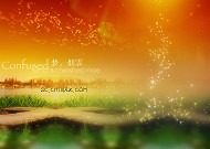2009年婚纱模板下载