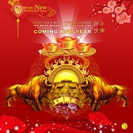 PSD2009新年模板