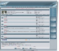 网奇Dxbbs免费风格V3