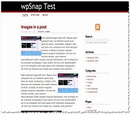 Wordpress CopyBlogger年度佳13