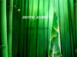 竹林绿笋PPT模板下载