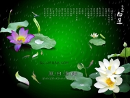 古典爱情婚纱模板下载