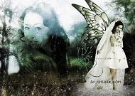 美女摄影PSD模板下载