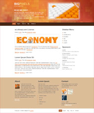 橙色商业CSS网页模板