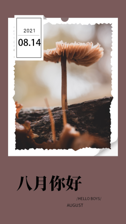 粉色八月你好日签