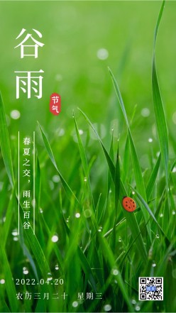谷雨节气绿色手机海报