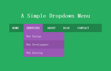 纯CSS3制作华丽网站下拉菜单