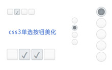 CSS3单选和复选按钮美化代码