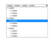 jQuery点击弹出下拉复选框代码
