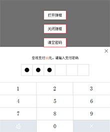 jQuery支付宝输入密码代码