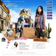 fashionlitmus.co.kr
