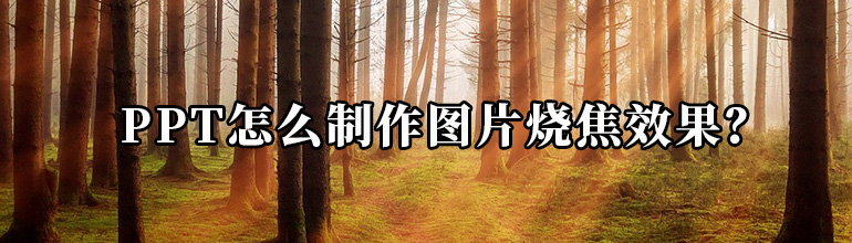 PPT怎么制作图片烧焦效果？
