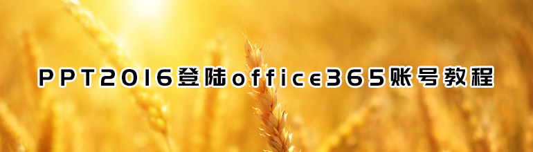 PPT2016登陆office365账号教程