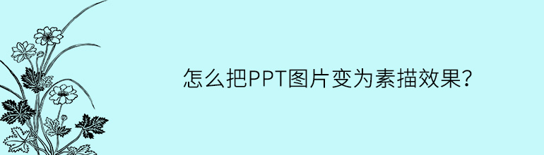怎么把PPT图片变为素描效果？