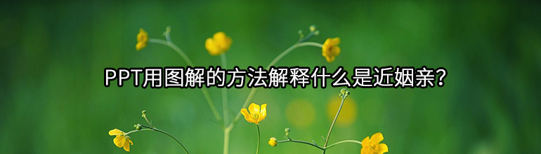 PPT用图解的方法解释什么是近姻亲？