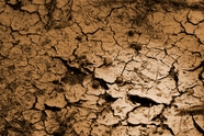 干旱干燥的地面图片