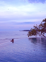 巴厘岛国家公园风景图片