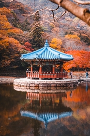 秋天韩国寺庙旅游景点图片