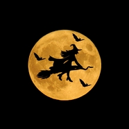 万圣节月圆之夜女巫图片