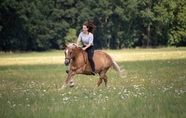 草地上骑马的美女图片