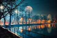 江滨公园河道树木夜景图片