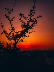 荒野黄昏落日图片