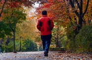 秋天公园树林散步男人背影图片