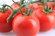 高清新鲜有机西红柿图片