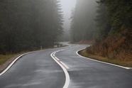 秋天森林雾气朦胧水泥公路图片