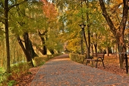 秋天公园树林小路风景图片