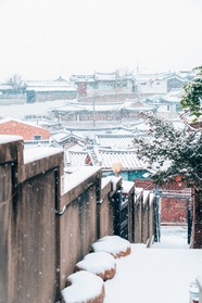 韩国汉城鹅毛大雪图片