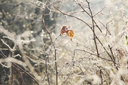冬季非主流风景摄影图片