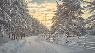 冬天芬兰雪景图片