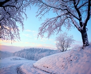 白雪皑皑冬日雪景摄影图片