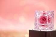 情人节水晶玫瑰礼物图片